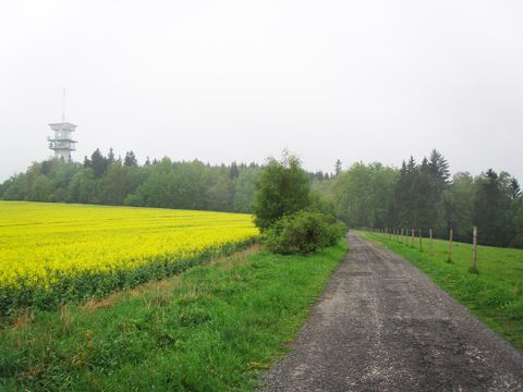 Foto 25